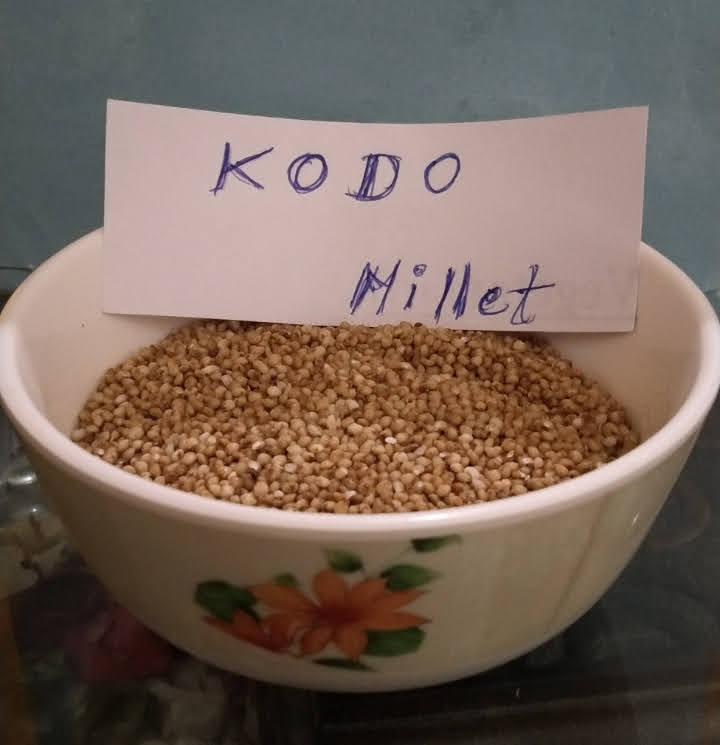 Kodo Millet In Hindi