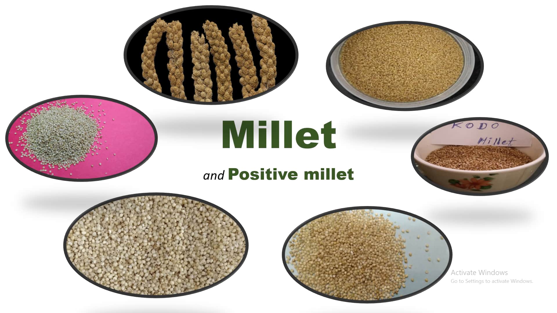 millet-in-hindi